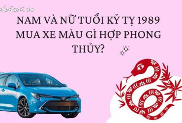 Sinh năm 1989 mua xe màu gì?