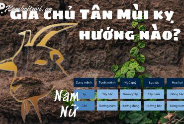 Sinh năm 1991 hợp hướng nào? Phân tích đầy đủ theo phong thủy