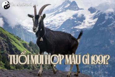 Sinh năm 1991 hợp màu gì? Bí quyết chọn màu phong thủy cho tuổi Tân Mùi
