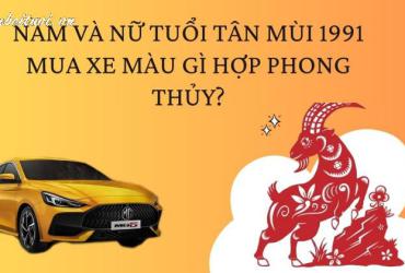 Sinh năm 1991 mua xe màu gì? Giải đáp chi tiết theo phong thủy