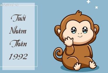 Sinh năm 1992 mệnh gì? Khám phá đầy đủ về người tuổi Nhâm Thân