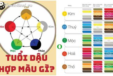 Sinh năm 1993 hợp màu gì? Phân tích chi tiết theo Ngũ Hành