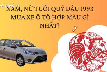 Sinh năm 1993 mua xe màu gì? Màu xe hợp tuổi Quý Dậu mang lại may mắn