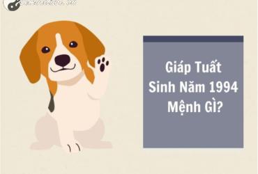 Sinh năm 1994 mệnh gì? Khám phá cung mệnh, tính cách và phong thủy hợp tuổi Giáp Tuất