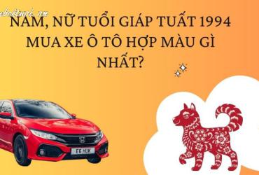 Sinh năm 1994 mua xe màu gì?