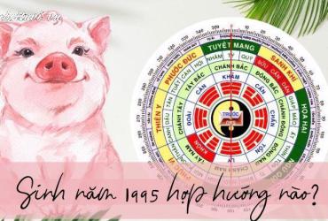 Sinh năm 1995 hợp hướng nào? Bí quyết phong thủy toàn diện cho tuổi Ất Hợi