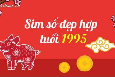Sinh Năm 1995 Hợp Số Nào? Bí Mật Sim Phong Thủy Thu Hút Tài Lộc Cho Tuổi Ất Hợi!