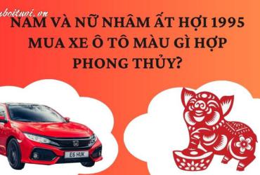 Sinh năm 1995 mua xe màu gì? Giải mã phong thủy xe hơi cho tuổi Ất Hợi