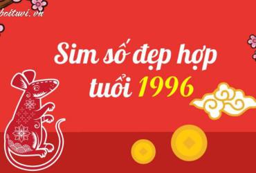 Người Sinh Năm 1996 Hợp Số Nào? Khám Phá Bí Mật Sim Phong Thủy Mang Lại Tài Lộc Và Tình Duyên!