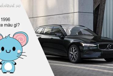 Sinh năm 1996 mua xe màu gì? Lựa chọn theo phong thủy cho tuổi Bính Tý