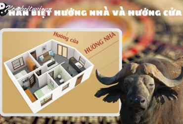 Sinh năm 1997 hợp hướng nào? - Cẩm nang chọn hướng nhà toàn diện cho tuổi Đinh Sửu