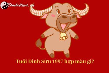 Sinh năm 1997 hợp màu gì? Gợi ý màu sắc may mắn cho tuổi Đinh Sửu