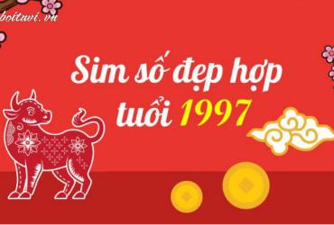 Bí Mật Số Hợp Tuổi Đinh Sửu 1997: Chọn Sim Phong Thủy Mang Lại Tài Lộc và May Mắn