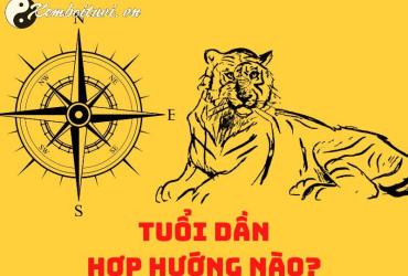 Sinh năm 1998 hợp hướng nào? Hướng dẫn toàn diện về phong thủy cho tuổi Mậu Dần