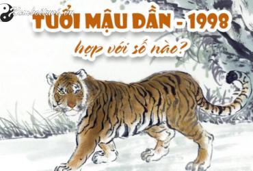 Khám Phá Số Hợp Tuổi 1998: Bí Quyết Chọn Sim Phong Thủy Thu Hút Tài Lộc!