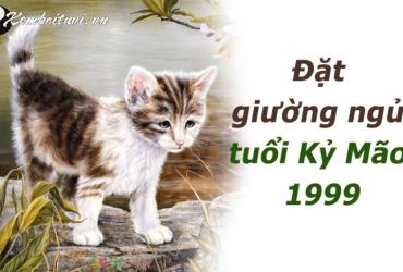 Bí Mật Phong Thủy: Hướng Kê Giường Ngủ Mang Lại May Mắn Cho Người Sinh Năm 1999
