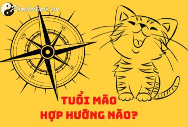 Sinh năm 1999 hợp hướng nào? Hướng dẫn đầy đủ theo phong thủy