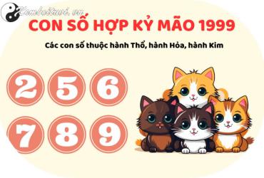 Số Nào Mang Tài Lộc Cho Người Sinh Năm 1999? Bí Mật Sim Phong Thủy Hợp Tuổi Kỷ Mão