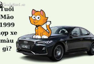 Sinh năm 1999 mua xe màu gì?