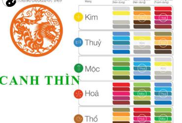 Sinh năm 2000 hợp màu gì? Giải mã màu sắc phong thủy cho tuổi Canh Thìn
