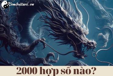 Khám Phá Con Số Hợp Tuổi 2000: Bí Quyết Chọn Sim Phong Thủy Mang Lại May Mắn
