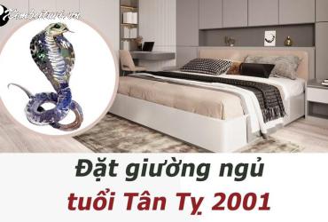 Hé Lộ Bí Quyết Chọn Hướng Kê Giường Ngủ Giúp Người Sinh Năm 2001 Tài Lộc Dồi Dào!