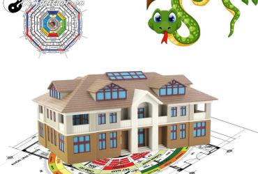 Sinh Năm 2001 Hợp Hướng Nào? Bí Quyết Chọn Hướng Nhà Cho Tuổi Tân Tỵ