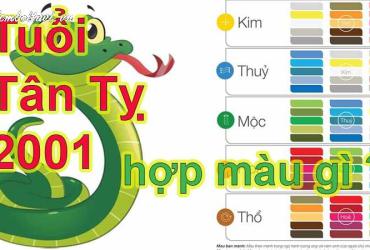 Khám Phá Bí Mật Màu Sắc Hợp Tuổi Tân Tỵ 2001 – Tăng May Mắn Và Tài Lộc Ngay Hôm Nay!