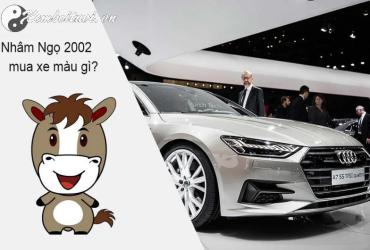 Người Sinh Năm 2002 Nhất Định Phải Biết: Chọn Màu Xe Nào Để Hút Tài Lộc, May Mắn?