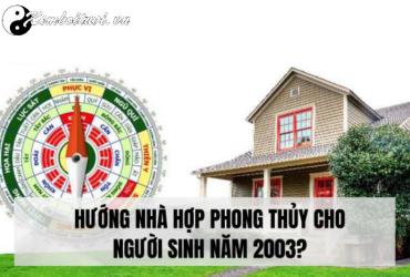 Sinh Năm 2003 Hợp Hướng Nào? Bí Quyết Phong Thủy Cho Tuổi Quý Mùi