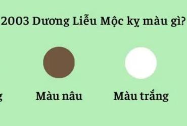 Khám Phá Màu Sắc Mang Lại May Mắn Cho Người Sinh Năm 2003