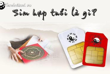 Khám Phá Con Số May Mắn Cho Người Sinh Năm 2003: Bí Quyết Chọn Sim Phong Thủy Chuẩn Nhất