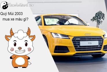 Người Sinh Năm 2003 Phải Biết: Màu Xe Nào Mang Lại May Mắn Và Tài Lộc?