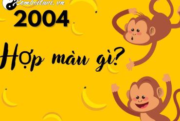 Sinh năm 2004 hợp màu gì? Phân tích chi tiết từ góc nhìn phong thủy