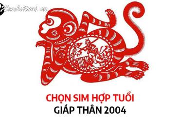 Người Sinh Năm 2004: Bí Mật Về Con Số Hợp Và Sim Phong Thủy Mang Tài Lộc Bất Ngờ!