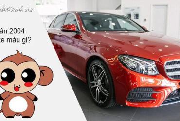 Sinh năm 2004 mua xe màu gì? Bí quyết chọn màu xe hợp phong thủy và cá tính