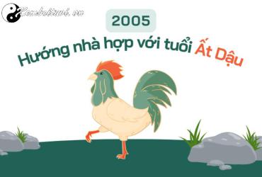 Sinh Năm 2005 Hợp Hướng Nào? - Cẩm Nang Phong Thủy Chi Tiết Cho Tuổi Ất Dậu