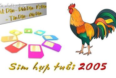 Khám Phá Bí Mật Số May Mắn Cho Tuổi Ất Dậu 2005 – Cách Chọn Sim Phong Thủy Hút Tài Lộc