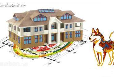 Sinh Năm 2006 Hợp Hướng Nào? Hướng Dẫn Toàn Diện về Phong Thủy cho Tuổi Bính Tuất