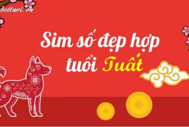 Khám Phá Con Số May Mắn Cho Người Sinh Năm 2006: Bí Quyết Chọn Sim Phong Thủy Hợp Tuổi Bính Tuất