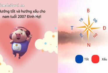 Sinh Năm 2007 Hợp Hướng Nào? Bí Quyết Chọn Hướng Nhà Phong Thủy Cho Tuổi Đinh Hợi