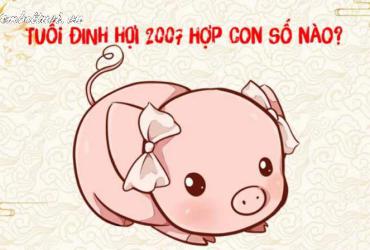 Khám Phá Bí Mật Số May Mắn Cho Người Sinh Năm 2007: Chọn Sim Phong Thủy Để Đổi Vận!