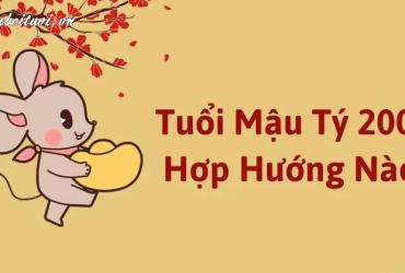 Khám Phá Hướng Nhà Định Đoạt Tài Lộc và Sức Khỏe Cho Người Sinh Năm 2008