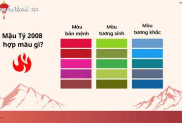 Sinh năm 2008 hợp màu gì? - Phân tích chi tiết theo phong thủy