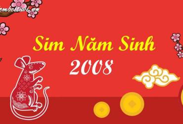 Khám Phá Bí Mật: Sinh Năm 2008 Hợp Số Mấy Và Sim Phong Thủy Giúp Tài Lộc Bùng Nổ
