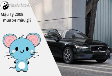 Sinh năm 2008 mua xe màu gì? Phong thủy chọn màu xe hợp tuổi Mậu Tý