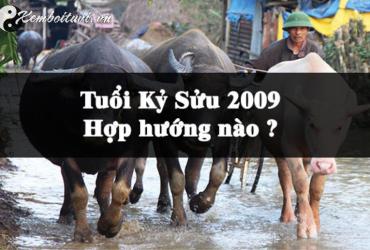 Sinh Năm 2009 Hợp Hướng Nào? Chỉ Dẫn Toàn Diện Theo Phong Thủy