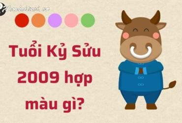 Khám Phá Bí Mật: Người Sinh Năm 2009 Hợp Màu Gì Để Thu Hút May Mắn Và Tài Lộc?