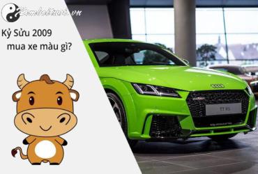 Sinh năm 2009 mua xe màu gì? Phân tích theo phong thủy Việt Nam