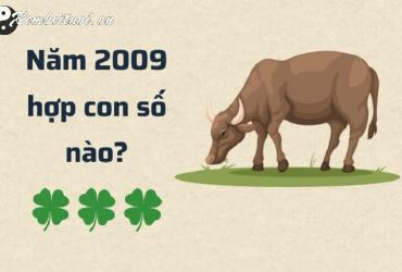Khám Phá Bí Mật: Sinh Năm 2009 Hợp Số Nào? Sim Phong Thủy Mang Lại Tài Lộc và May Mắn!
